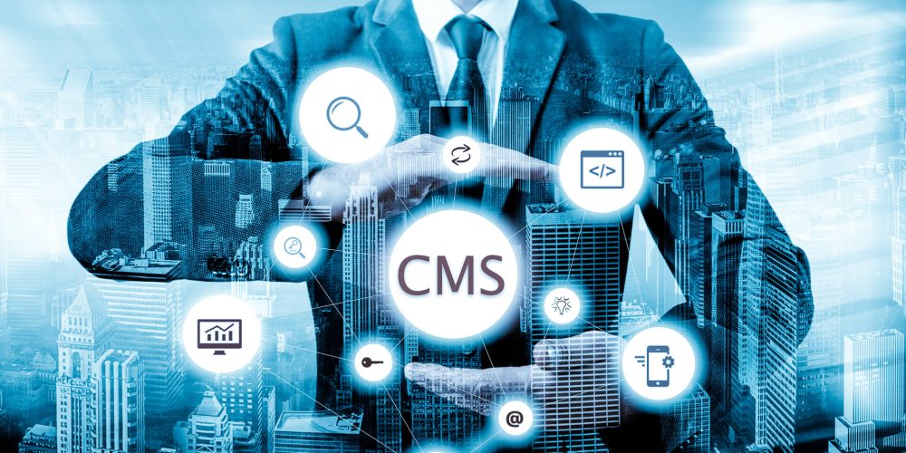 Content Management Systems (CMS)